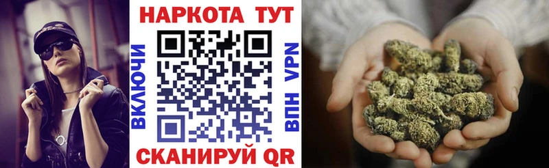 Где купить наркоту Судогда А ПВП  МЕФ  ГАШ  Бошки Шишки 