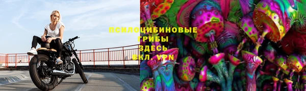 мяу мяу мука Приозерск