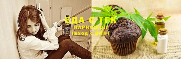 МДПВ Протвино