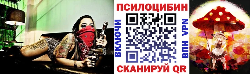 Галлюциногенные грибы мицелий  закладки  Судогда 